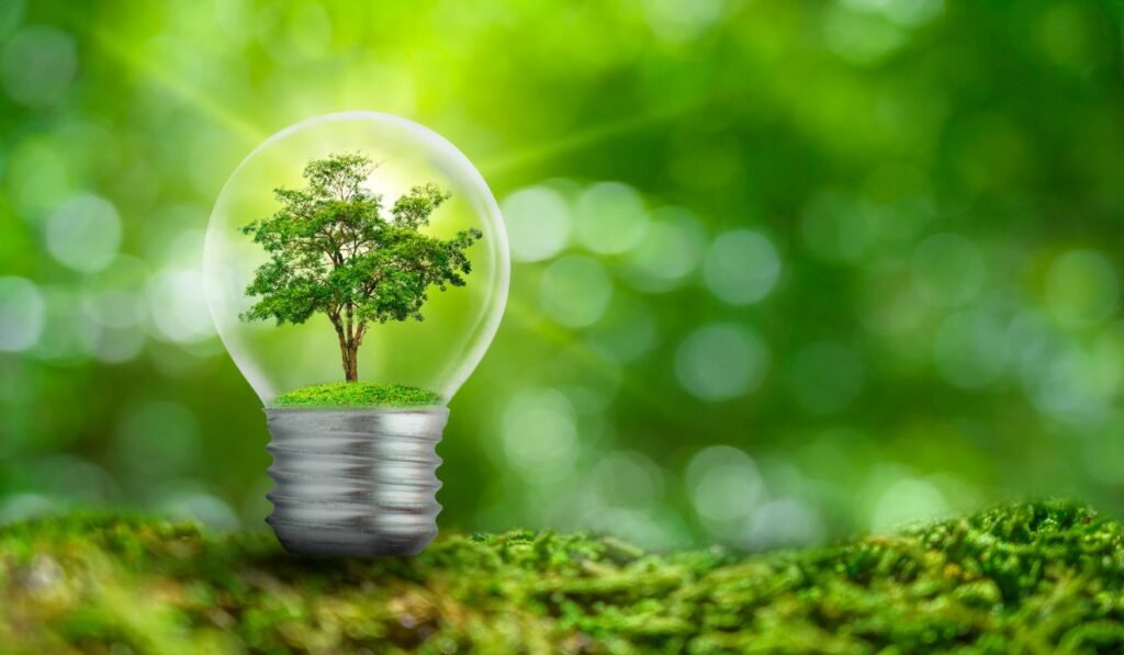 energeska efikasnost