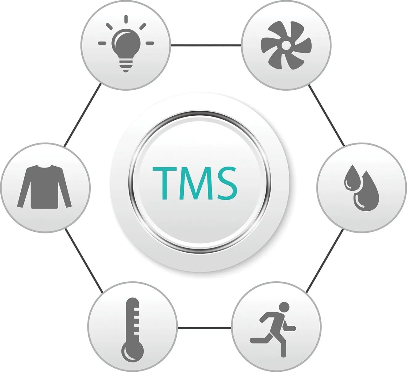 TMS Comfort Control System